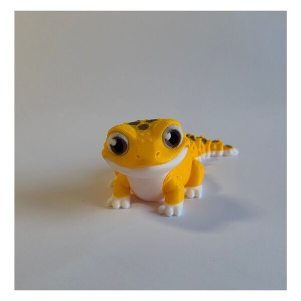 Ontwerp zonder titel (31) Terrarium met Luipaardgekko – Decoratieve Woestijnomgeving met Bijlage