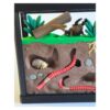 Ontwerp zonder titel (34) Terrarium met Insecten – Decoratieve Ondergrondse Wereld met Bijlage