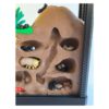 Ontwerp zonder titel (35) Terrarium met Insecten – Decoratieve Ondergrondse Wereld met Bijlage