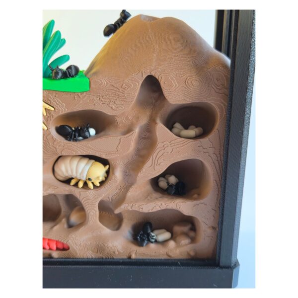 Ontwerp zonder titel (35) Terrarium met Insecten – Decoratieve Ondergrondse Wereld met Bijlage