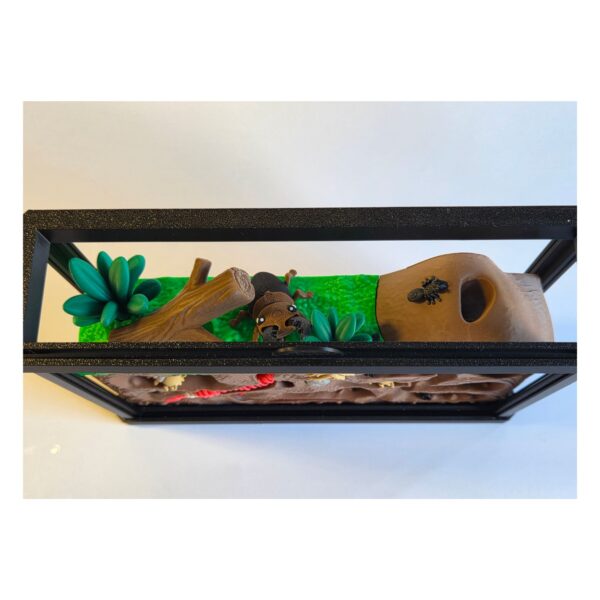Ontwerp zonder titel (36) Terrarium met Insecten – Decoratieve Ondergrondse Wereld met Bijlage