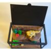 Ontwerp zonder titel (38) Terrarium met Baardagame – Decoratieve Woestijnscène met Bijlage