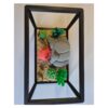 Ontwerp zonder titel (46) Terrarium met Mexicaanse Axolotl – Decoratieve Mini Onderwaterwereld met Bijlage