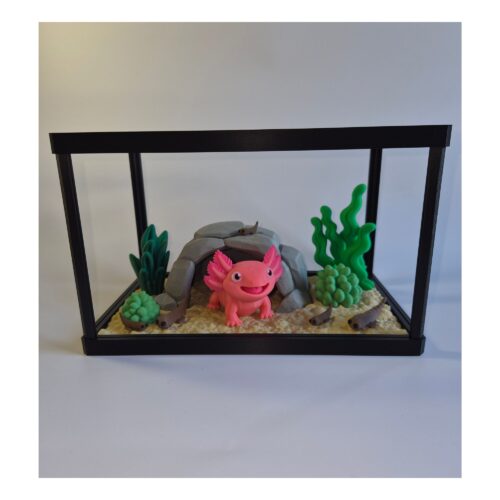 axelotl 1 Terrarium met Mexicaanse Axolotl – Decoratieve Mini Onderwaterwereld met Bijlage
