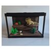 baardagame 2 Terrarium met Baardagame – Decoratieve Woestijnscène met Bijlage