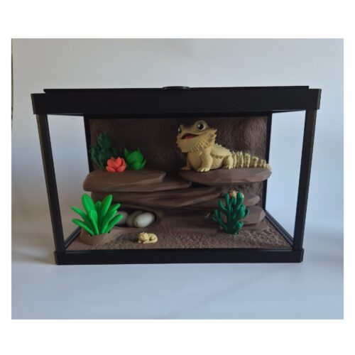baardagame 2 Terrarium met Baardagame – Decoratieve Woestijnscène met Bijlage