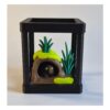 black rain frog 1 Mini Terrarium met Zwarte Regenkikker – Decoratieve Miniatuur Leefomgeving met Bijlage