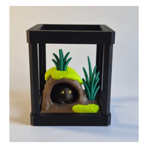 black rain frog 1 Mini Terrarium met Zwarte Regenkikker – Decoratieve Miniatuur Leefomgeving met Bijlage