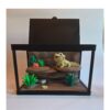 fotot2 Terrarium met Baardagame – Decoratieve Woestijnscène met Bijlage