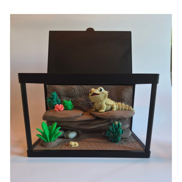 fotot2 Terrarium met Baardagame – Decoratieve Woestijnscène met Bijlage