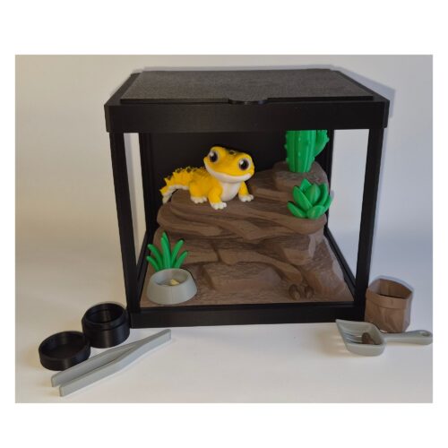 gekko 1 Terrarium met Luipaardgekko – Decoratieve Woestijnomgeving met Bijlage