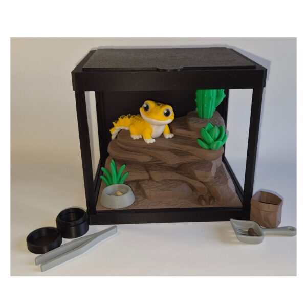 gekko 1 Terrarium met Luipaardgekko – Decoratieve Woestijnomgeving met Bijlage