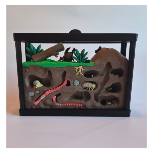 insecten juist Terrarium met Insecten – Decoratieve Ondergrondse Wereld met Bijlage