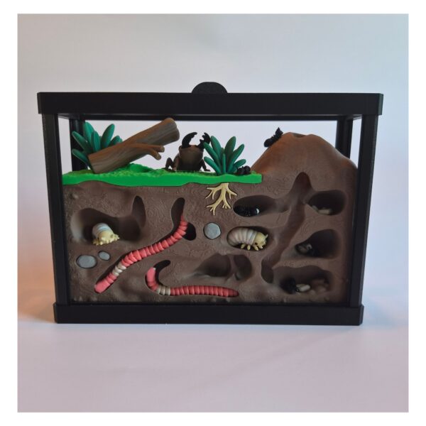 insecten juist Terrarium met Insecten – Decoratieve Ondergrondse Wereld met Bijlage