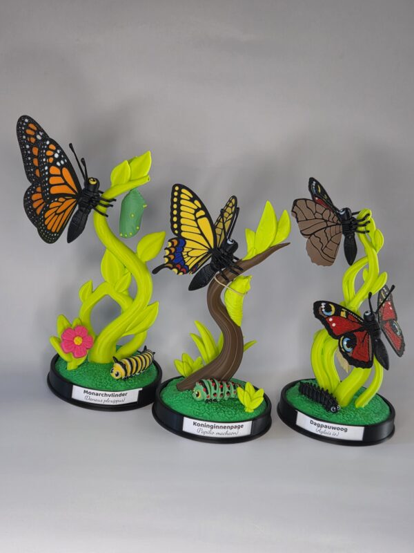 Mini Display met Monarch vlinder