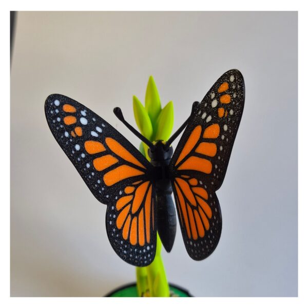 Ontwerp zonder titel (19) Mini Display met Monarch vlinder
