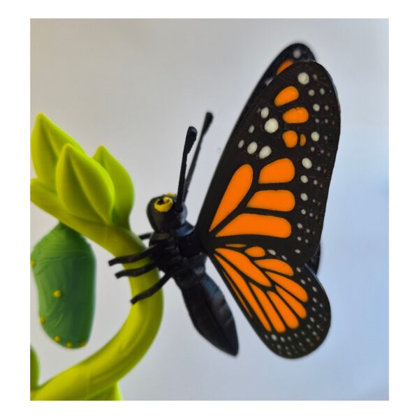 Ontwerp zonder titel (20) Mini Display met Monarch vlinder