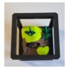 Ontwerp zonder titel (23) Mini Terrarium met Zwarte Regenkikker – Decoratieve Miniatuur Leefomgeving met Bijlage