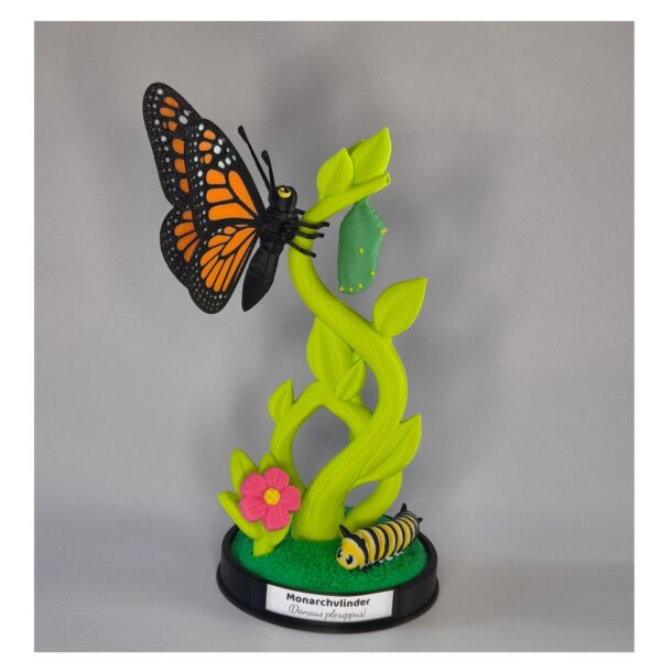 Mini Display met Monarch vlinder