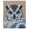 Arctic Guardian Owl – Sneeuwuil