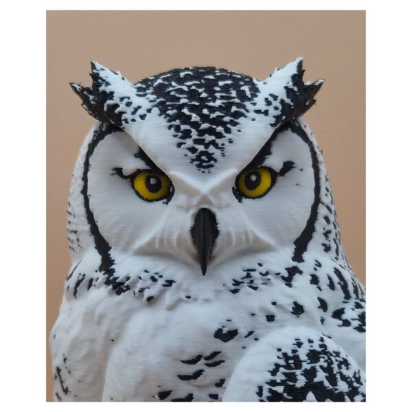 Arctic Guardian Owl – Sneeuwuil