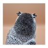 Arctic Guardian Owl – Sneeuwuil