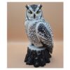 Arctic Guardian Owl – Sneeuwuil