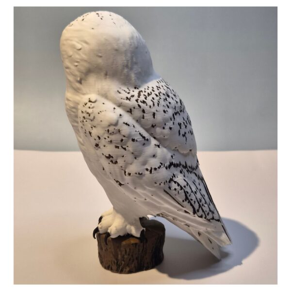 chter zij Sneeuwuil – Gedetailleerd 3D-geprint Beeld