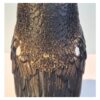 close up achter Amerikaanse oehoe – Decoratief 3D-geprint beeld