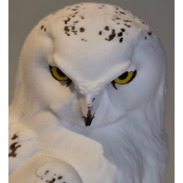close up kop Sneeuwuil – Gedetailleerd 3D-geprint Beeld
