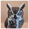 Sentinel of pines - Great horned owl