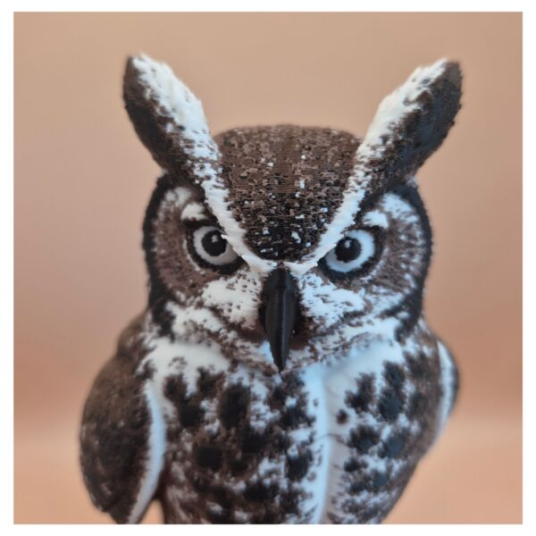 Sentinel of pines - Great horned owl