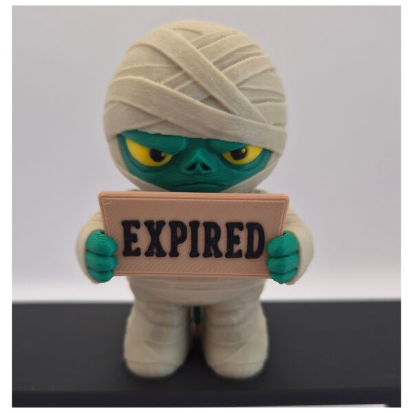 12 Halloween mummie met grappige verwisselbare tekstbordjes