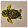 Terrarium met moeder zeeschildpad en kind