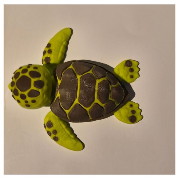 Terrarium met moeder zeeschildpad en kind