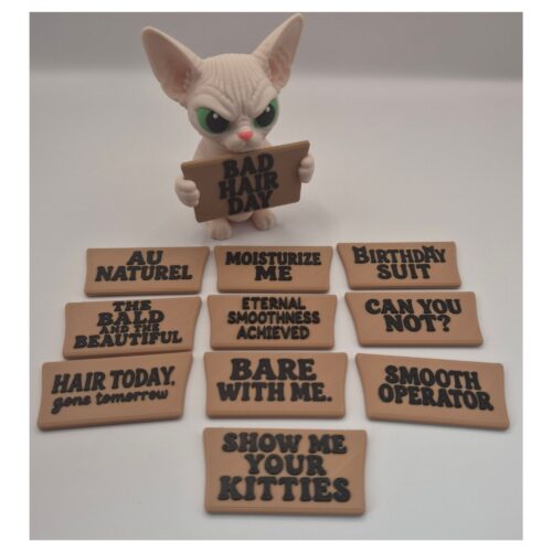14 De Sphinx kat met een dosis humor en sarcasme