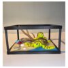 Terrarium met moeder zeeschildpad en kind