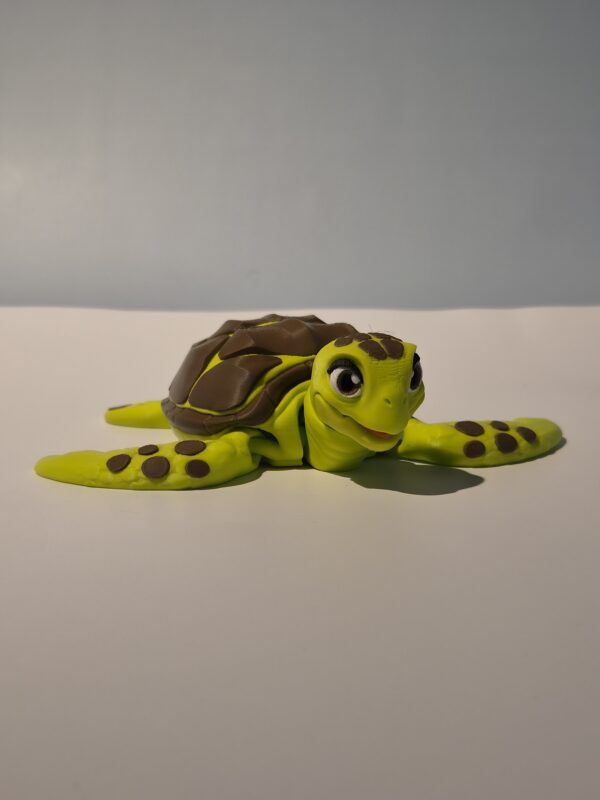 Mama & Baby Zeeschildpad