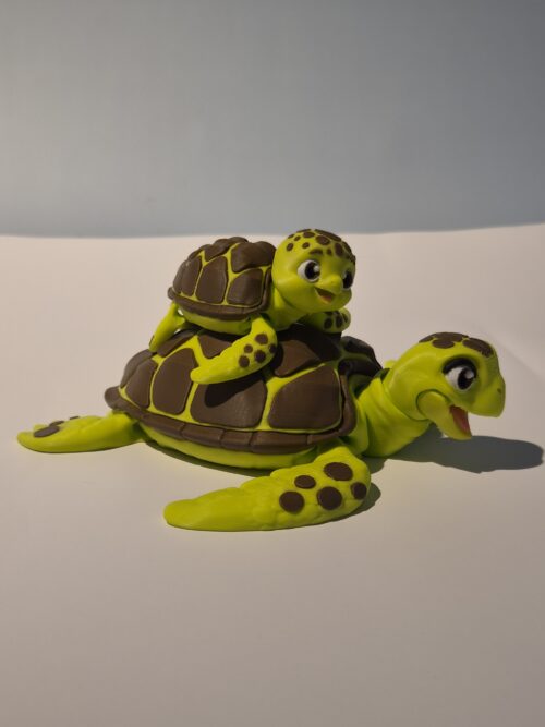 Mama & Baby Zeeschildpad