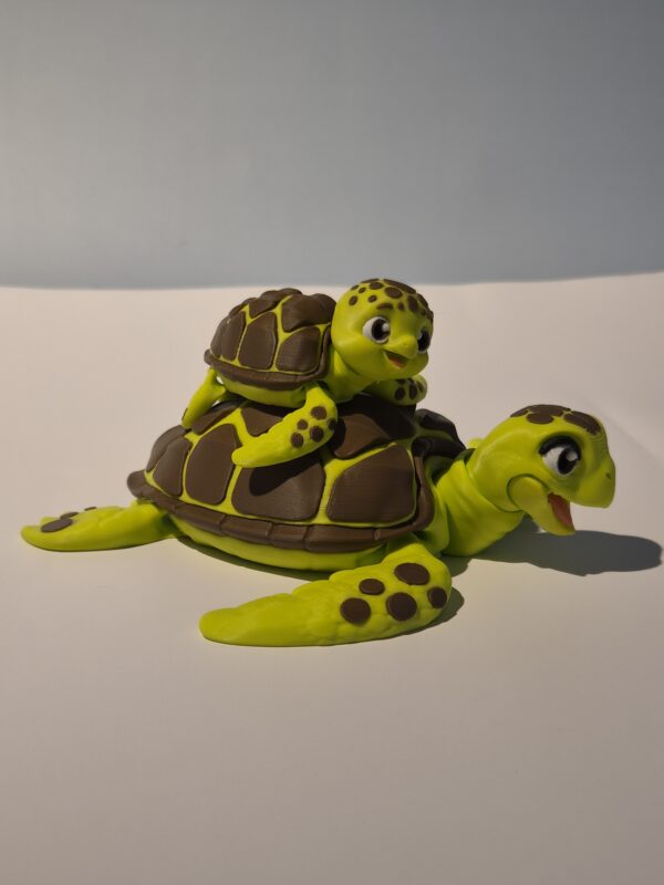 Mama & Baby Zeeschildpad
