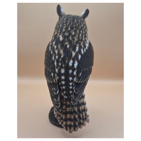 3 Twilight Sentinel – Long-Eared Owl