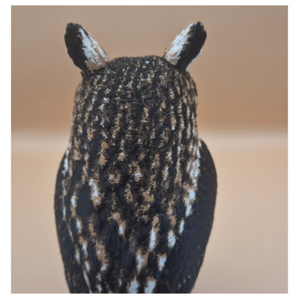4 Twilight Sentinel – Long-Eared Owl