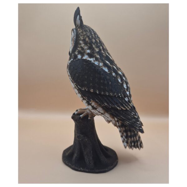 5 Twilight Sentinel – Long-Eared Owl