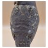54 The Little Watcher Owl