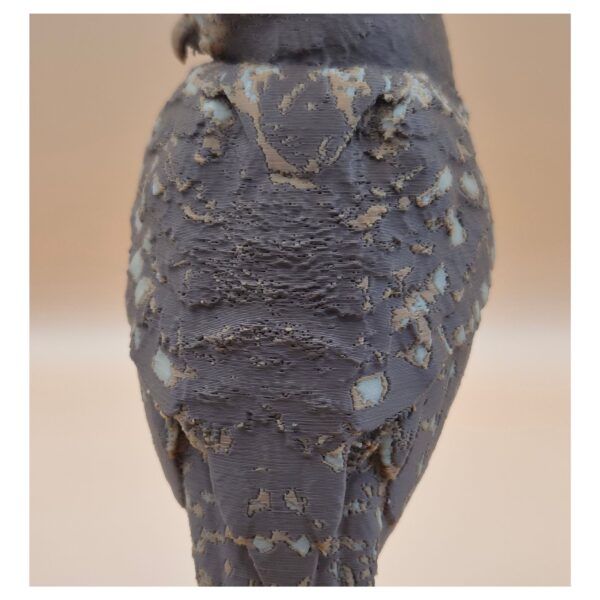 54 The Little Watcher Owl