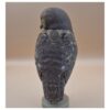 55 The Little Watcher Owl