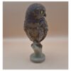 57 The Little Watcher Owl