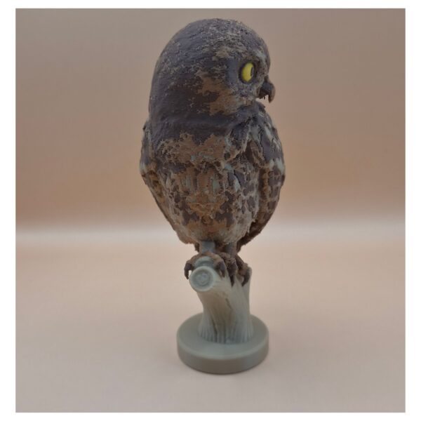 57 The Little Watcher Owl