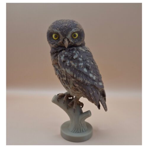 58 The Little Watcher Owl