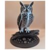 Sentinel of pines - Great horned owl